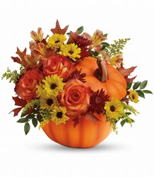 Warm Fall Wishes  from Mona's Floral Creations, local florist in Tampa, FL